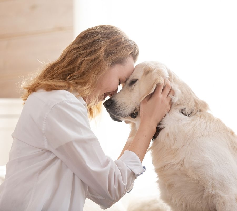 A woman gently pets a dog while sitting on a bed
